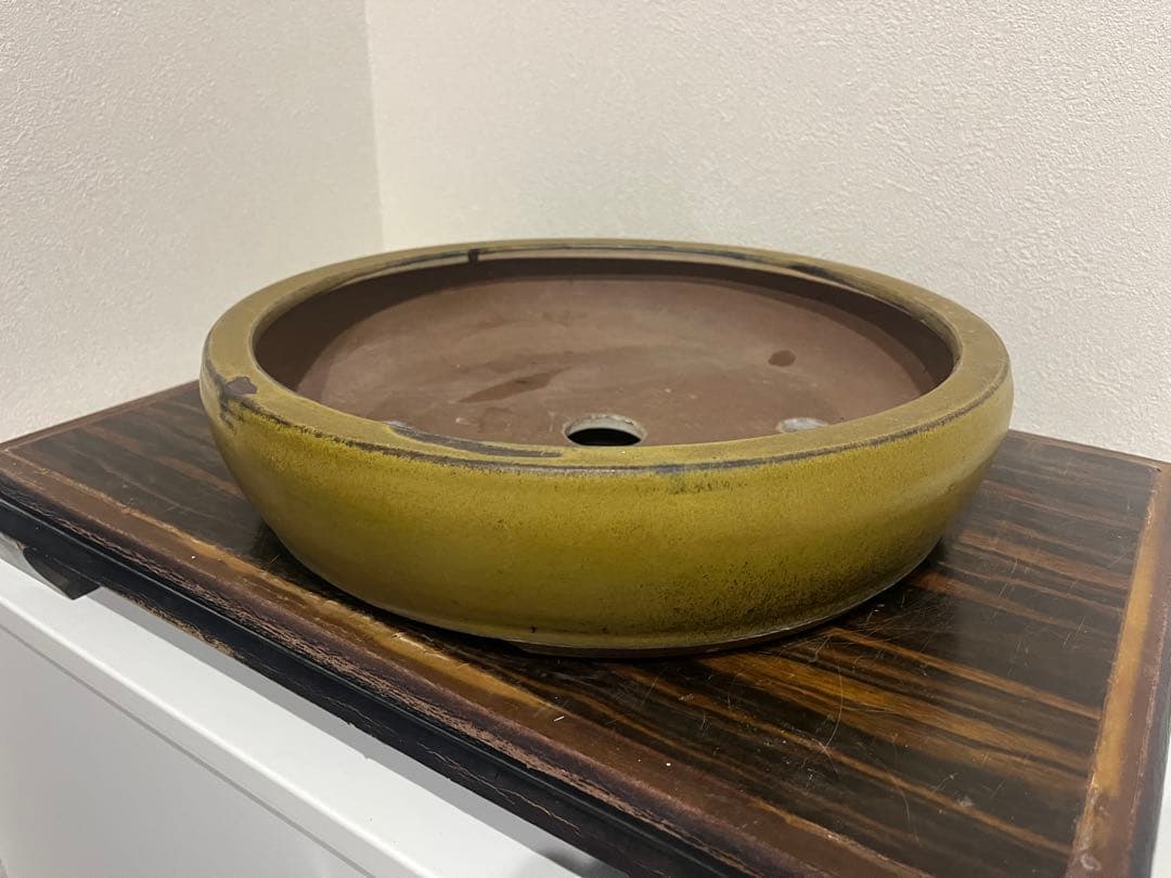 発色抜群　黄釉　中国古盆器　宣興　丸鉢　盆栽鉢