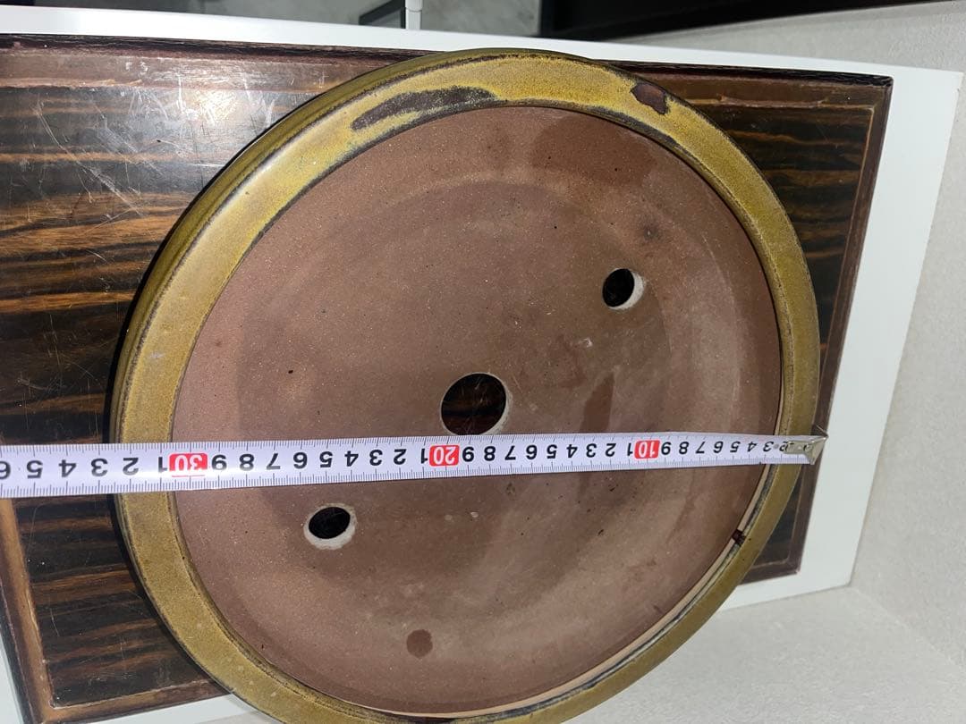 発色抜群　黄釉　中国古盆器　宣興　丸鉢　盆栽鉢