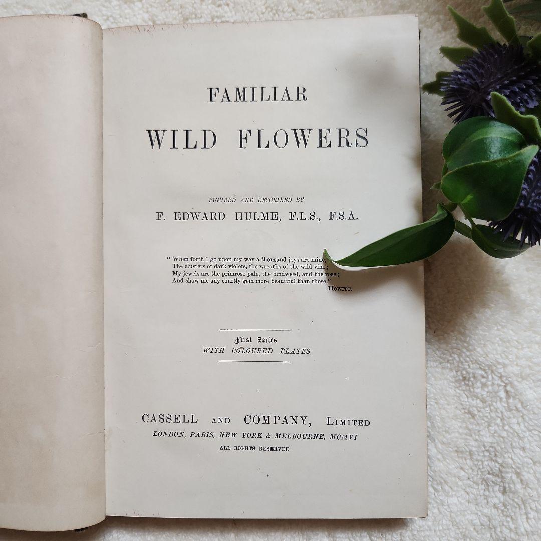 植物図鑑　洋書　古書　アンティーク　Familar Wild Flowers①