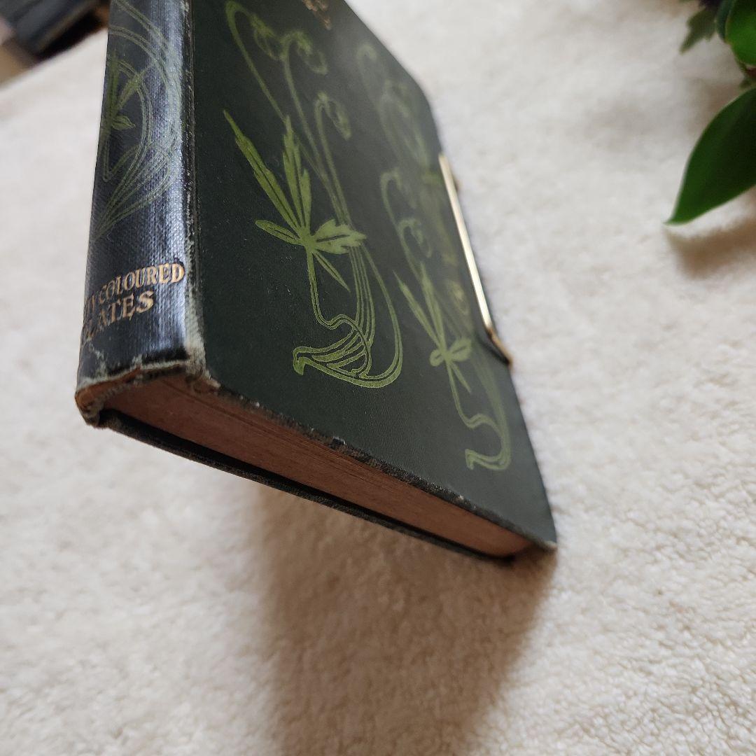 植物図鑑　洋書　古書　アンティーク　Familar Wild Flowers①