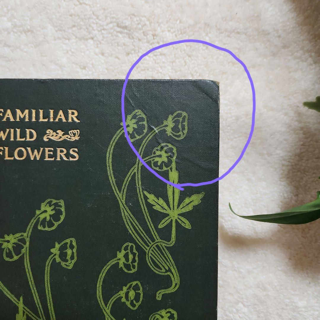 植物図鑑　洋書　古書　アンティーク　Familar Wild Flowers①