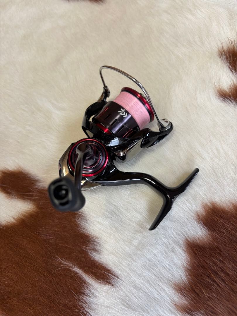 美品 ダイワ 23月下美人 LT1000S 箱付き DAIWA スピニングリール
