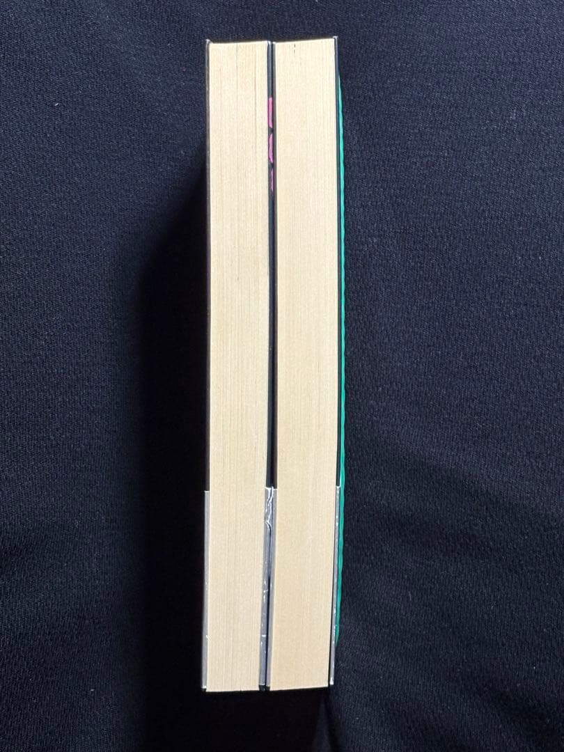 希少【傑作】美姉妹 恥辱の履歴書 全巻揃 　　　綺羅光 ※凌辱女子学園と並ぶ傑作