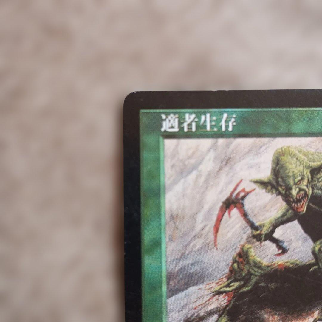 適者生存 マジック：ザ・ギャザリング