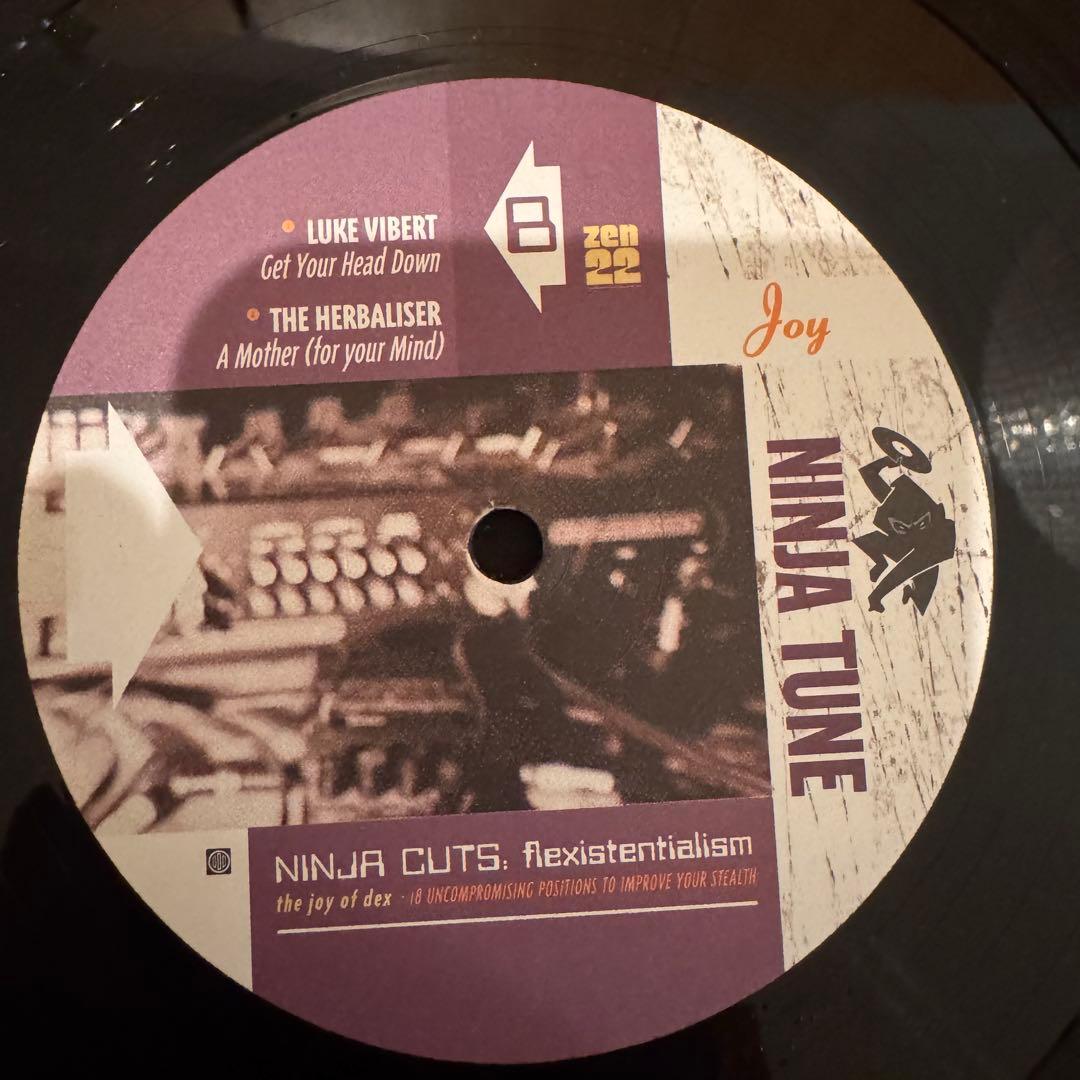洋楽 NINJA CUTS: flexistentialism 3LP