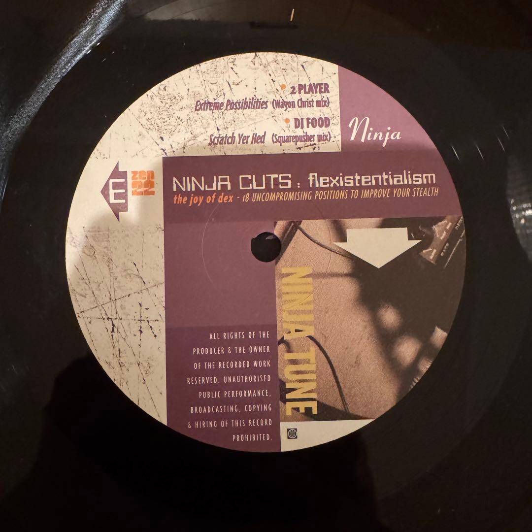 洋楽 NINJA CUTS: flexistentialism 3LP