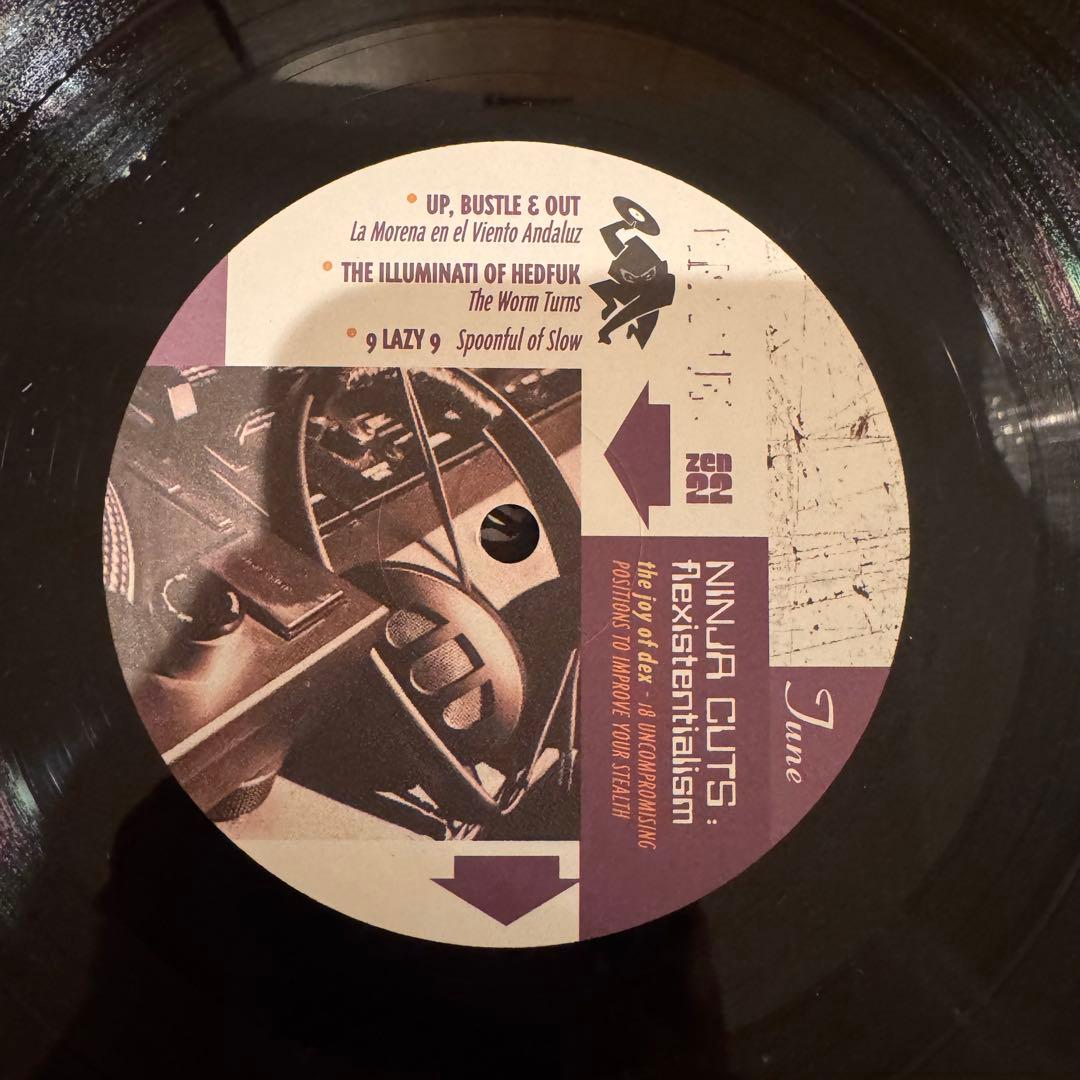 洋楽 NINJA CUTS: flexistentialism 3LP