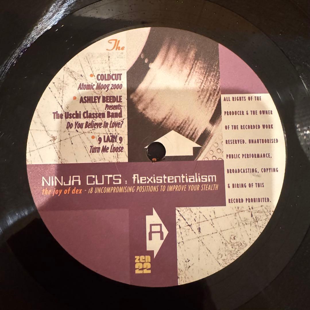 洋楽 NINJA CUTS: flexistentialism 3LP