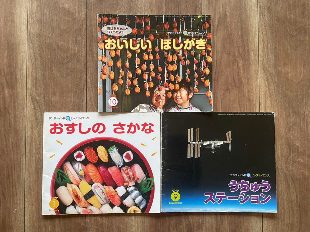 サンチャイルド　ビッグサイエンス　35冊セット