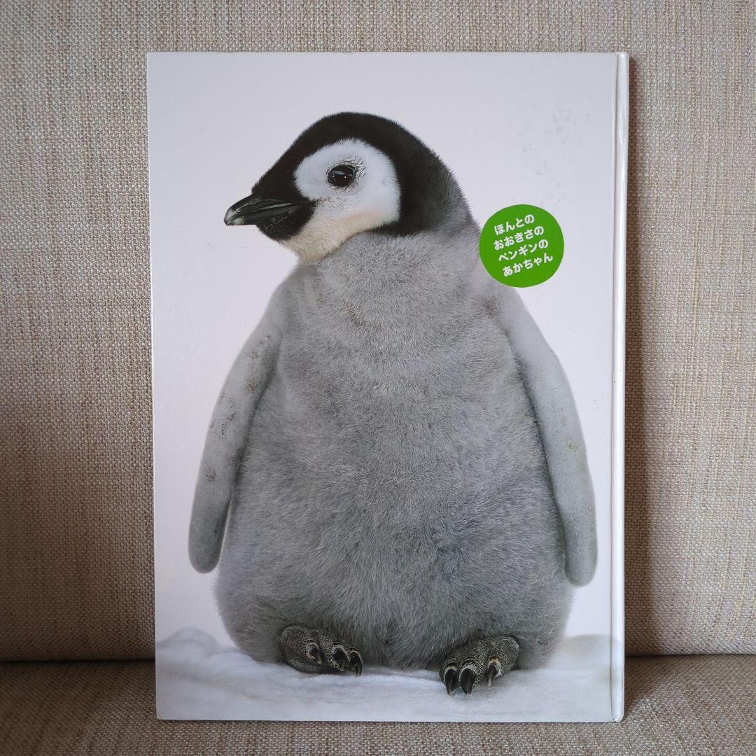 【絶版】ほんとのおおきさ あかちゃん動物園　ほんとのおおきさ　水族館　２冊セット