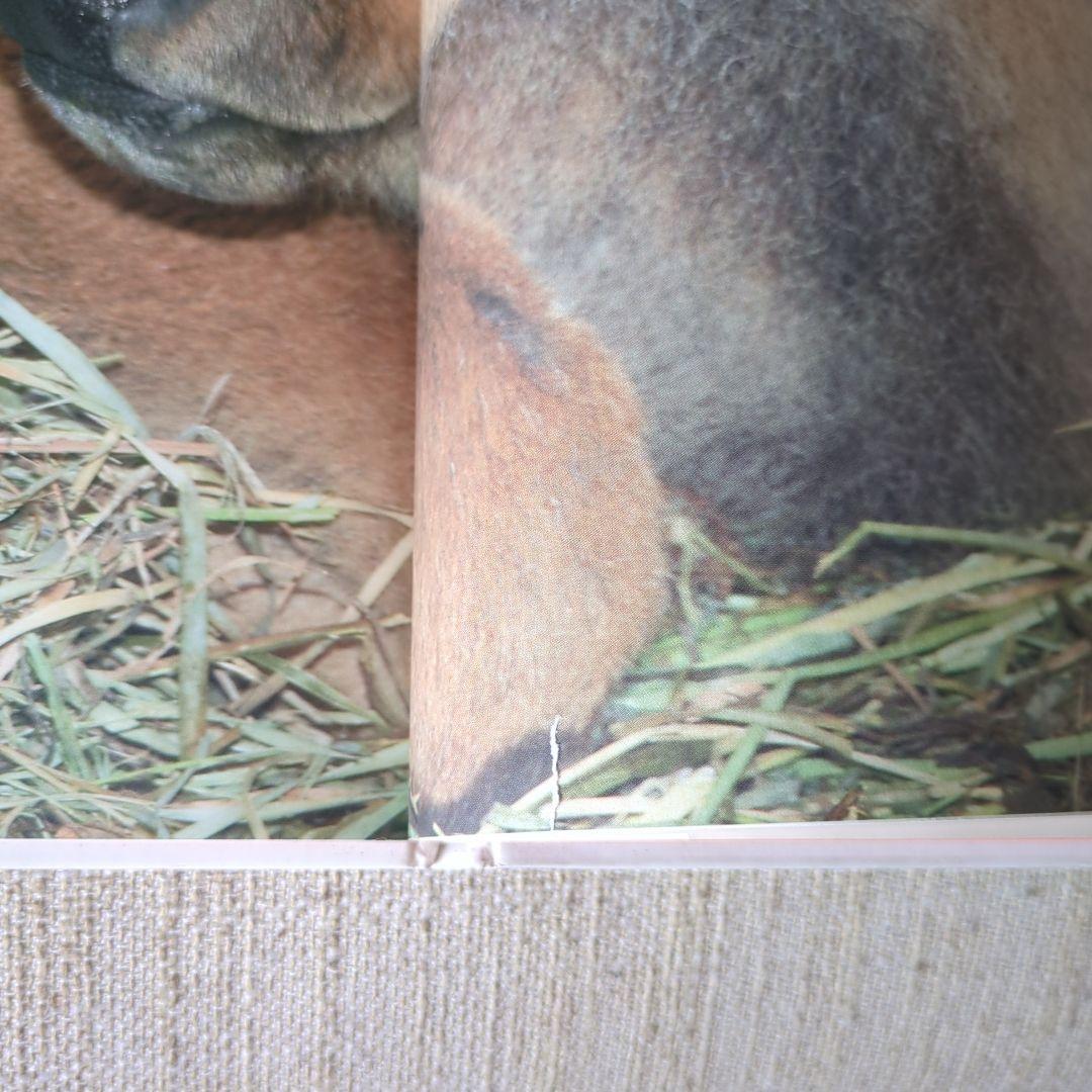 【絶版】ほんとのおおきさ あかちゃん動物園　ほんとのおおきさ　水族館　２冊セット