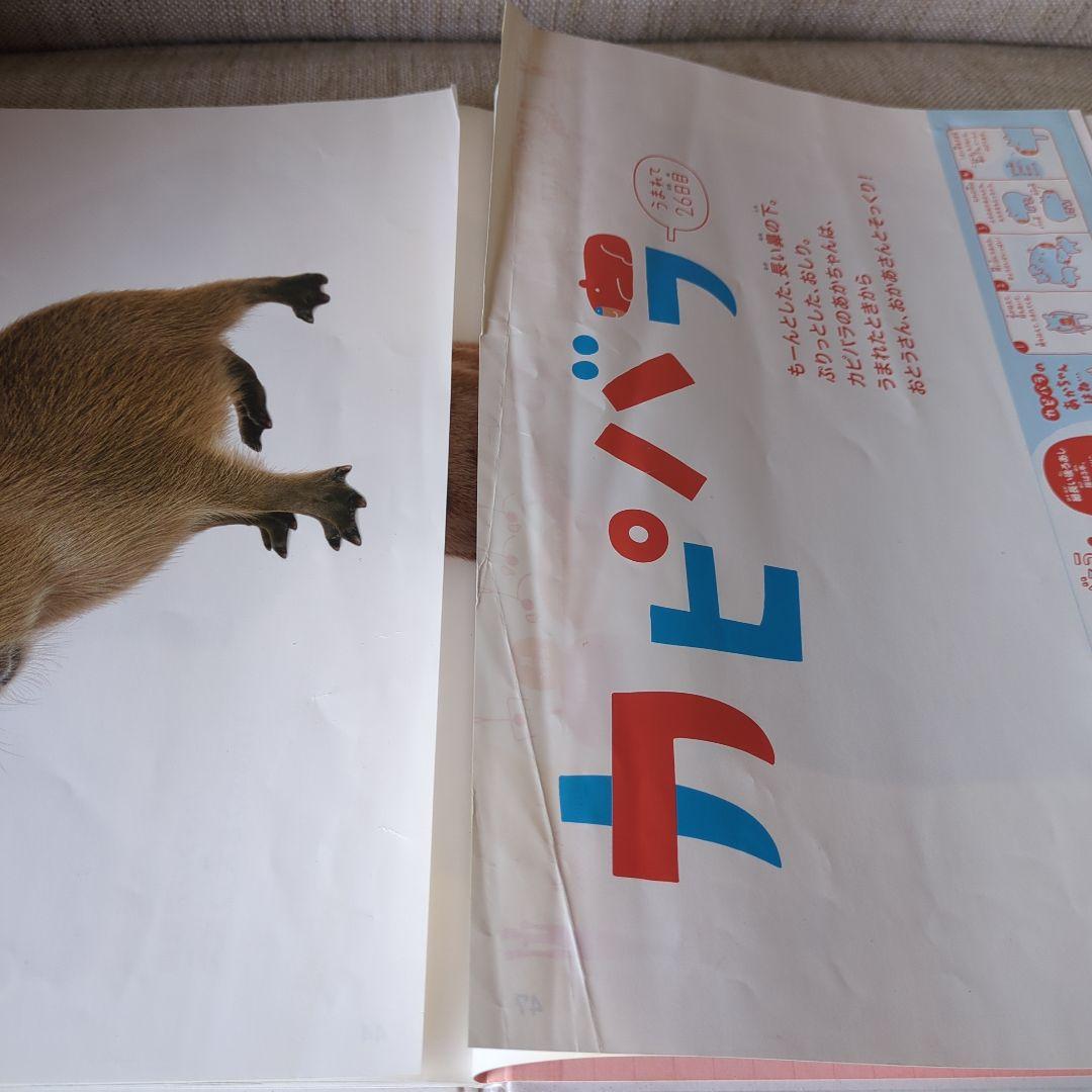【絶版】ほんとのおおきさ あかちゃん動物園　ほんとのおおきさ　水族館　２冊セット