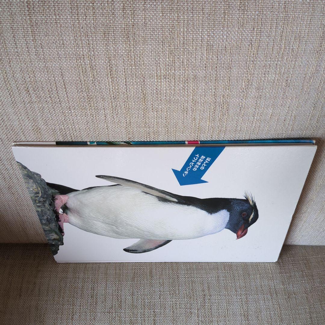 【絶版】ほんとのおおきさ あかちゃん動物園　ほんとのおおきさ　水族館　２冊セット