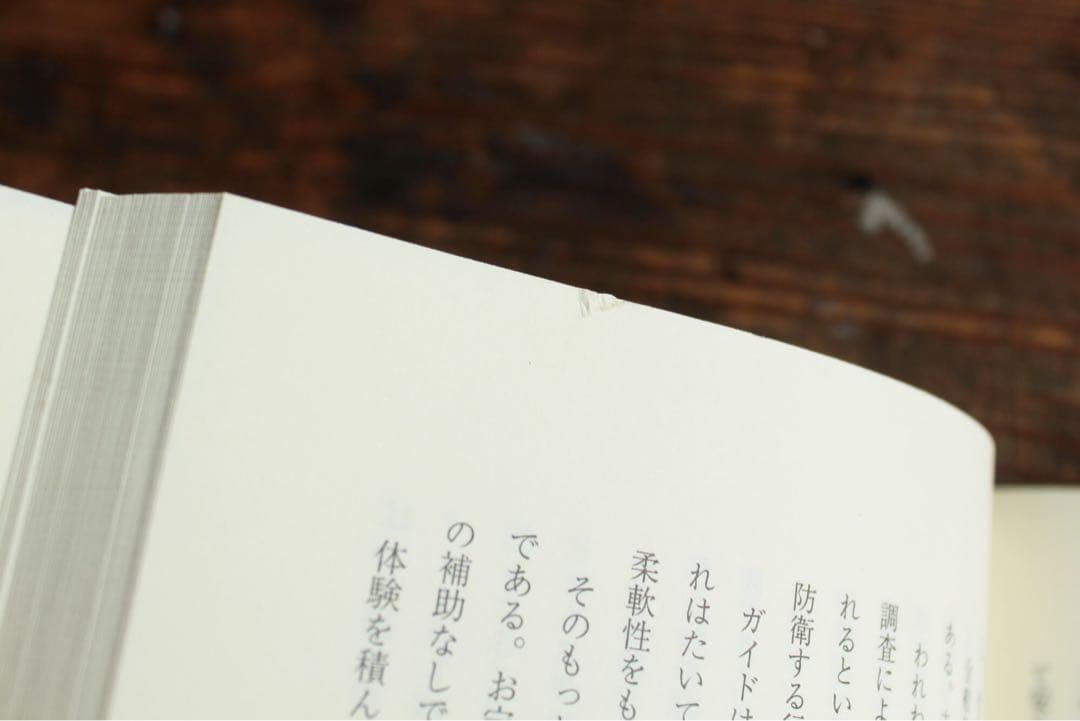 希少 チベットの死者の書 サイケデリックバージョン 初版 ティモシー・リアリー