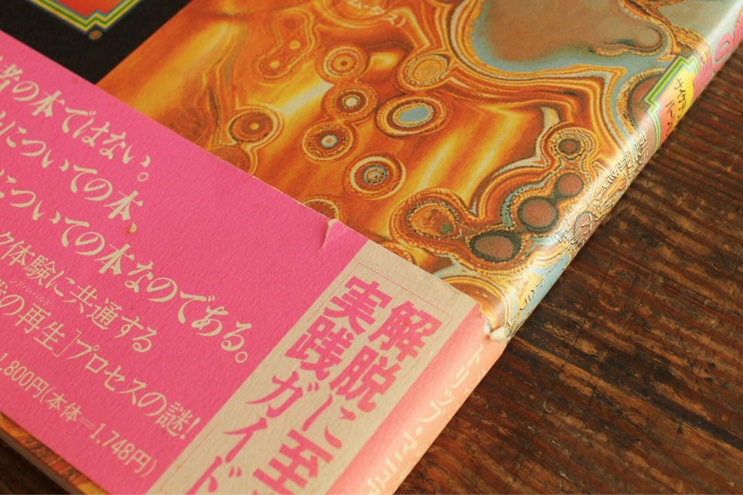 希少 チベットの死者の書 サイケデリックバージョン 初版 ティモシー・リアリー