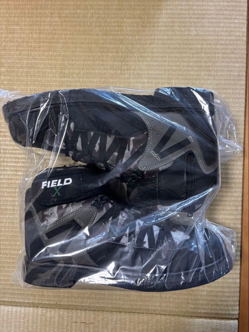 磯シューズ
