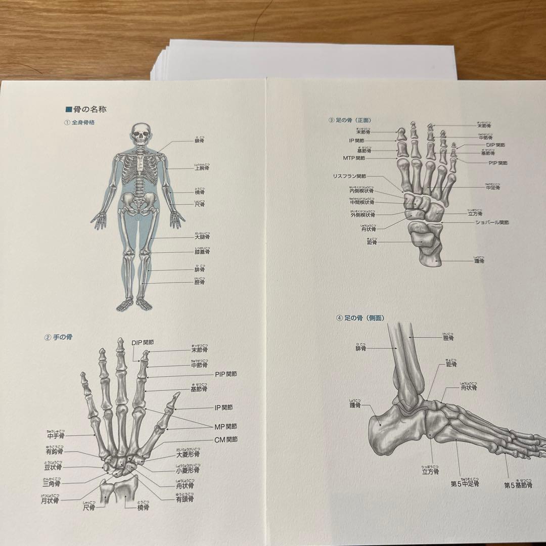 裁断済　救急整形外傷学