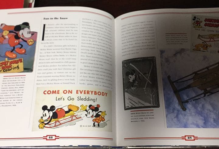 能登寄付　DISNEYANA (英語) 未使用 ハードカバー 1994　大型本