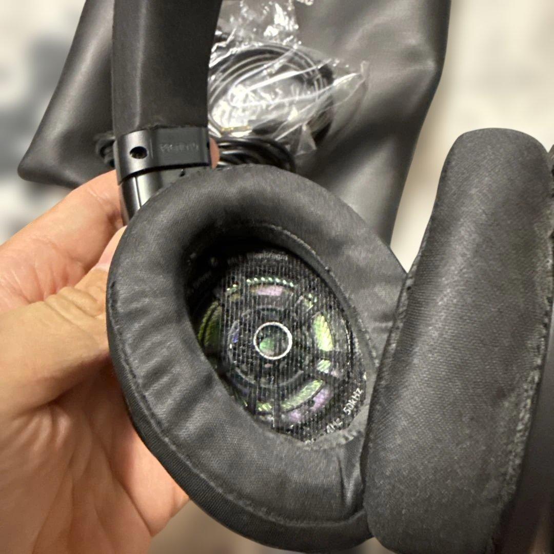 希少 動作品 Panasonic RP-HD10 有線ハイレゾ対応ヘッドホン