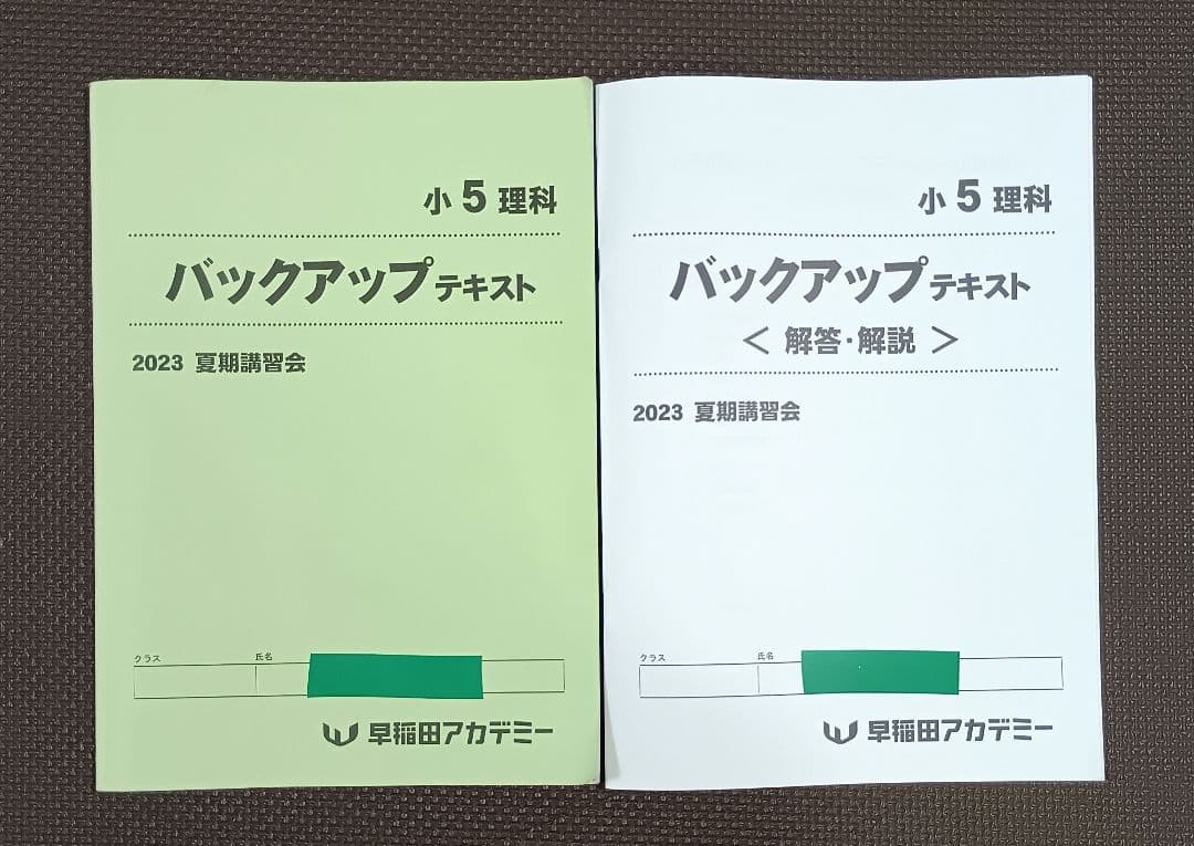小5 夏期講習 早稲田アカデミー 早稲アカ上位校