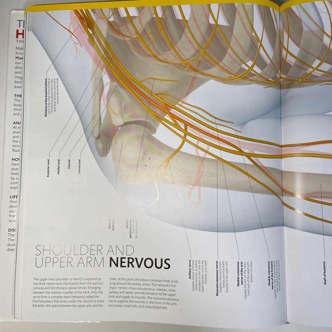 洋書 THE COMPLETE HUMAN BODY 2nd Edition