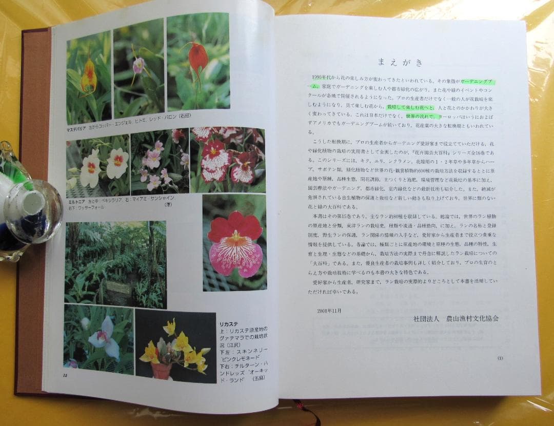 花卉園芸大百科 15 ラン