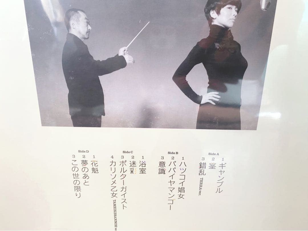 椎名林檎 斉藤ネコ 平成風俗 アナログレコード
