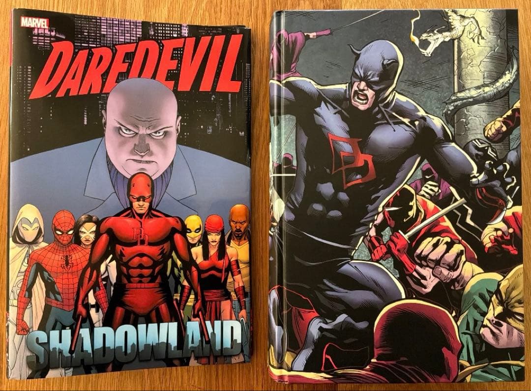 再値下げ❗️Daredevil: Shadowland Omnibus アメコミ
