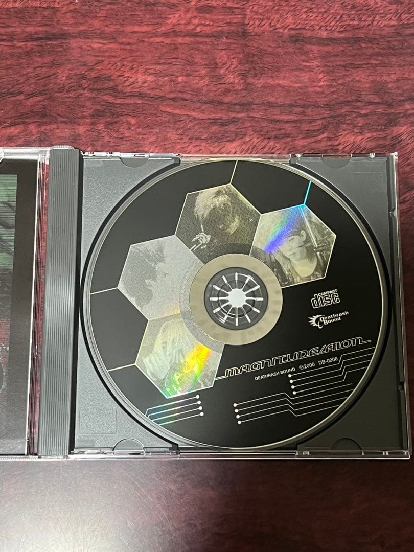 AION MAGNITUDE 日本語バージョン　マグニチュード　廃盤　レア