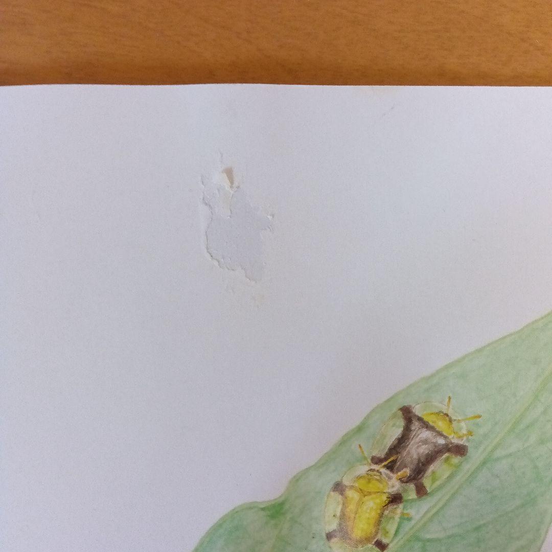絵本　まとめ売り　福音館　こどものとも　かがくのとも