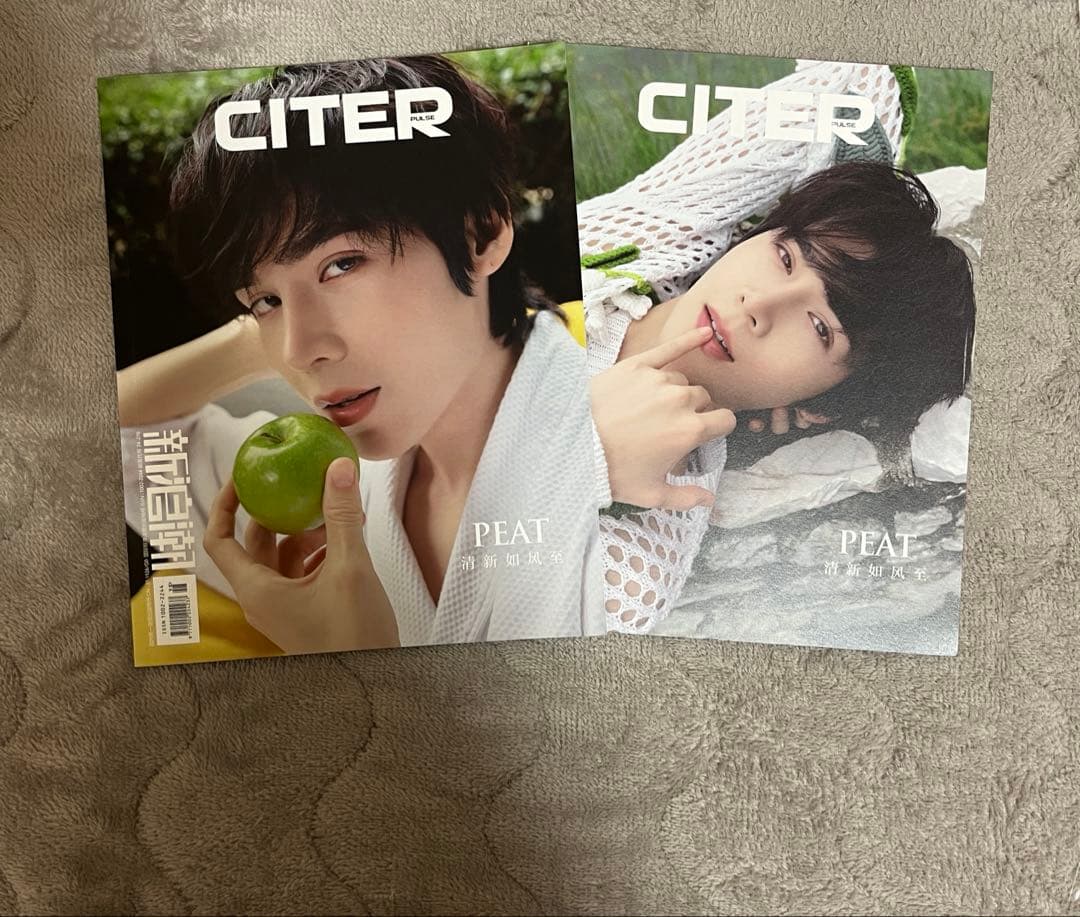 中国雑誌 CITER pulse Peat 単独 C版