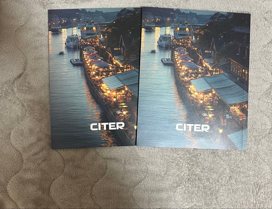 中国雑誌 CITER pulse Peat 単独 C版