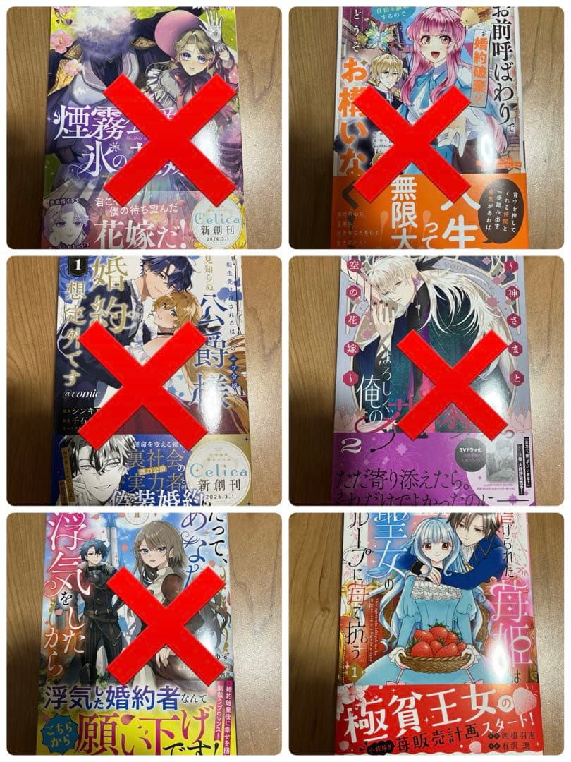 煙霧公爵と氷の花嫁1他