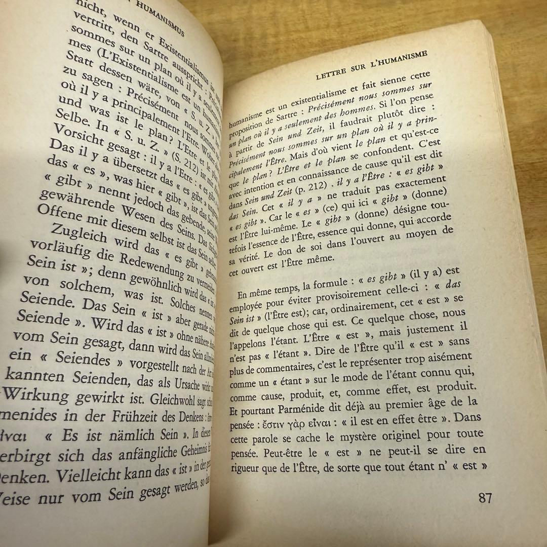 文学・小説 MARTIN HEIDEGGER