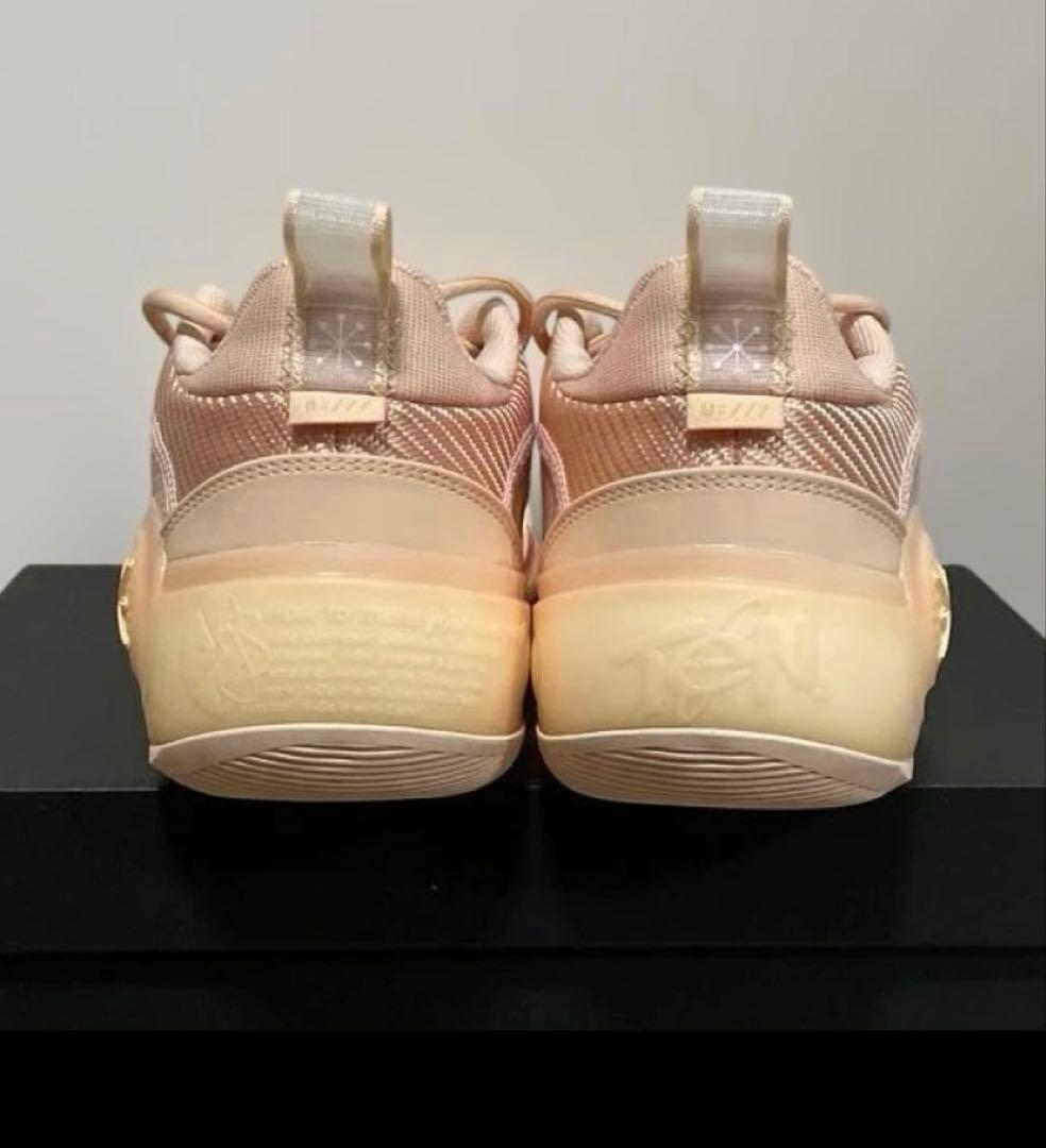 リーニン　WAY OF WADE 10 LOW 26.0cm(US8.5)