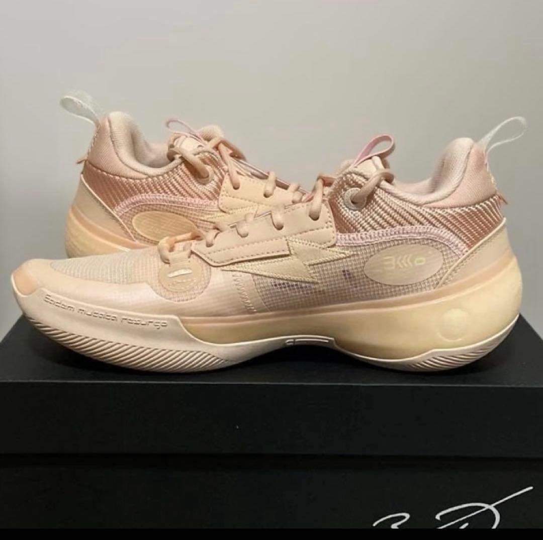リーニン　WAY OF WADE 10 LOW 26.0cm(US8.5)