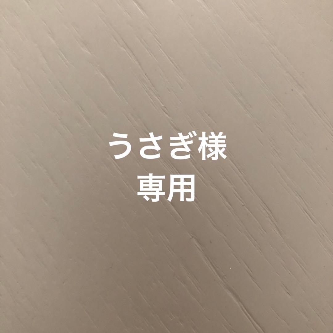 うさぎ様おまとめ