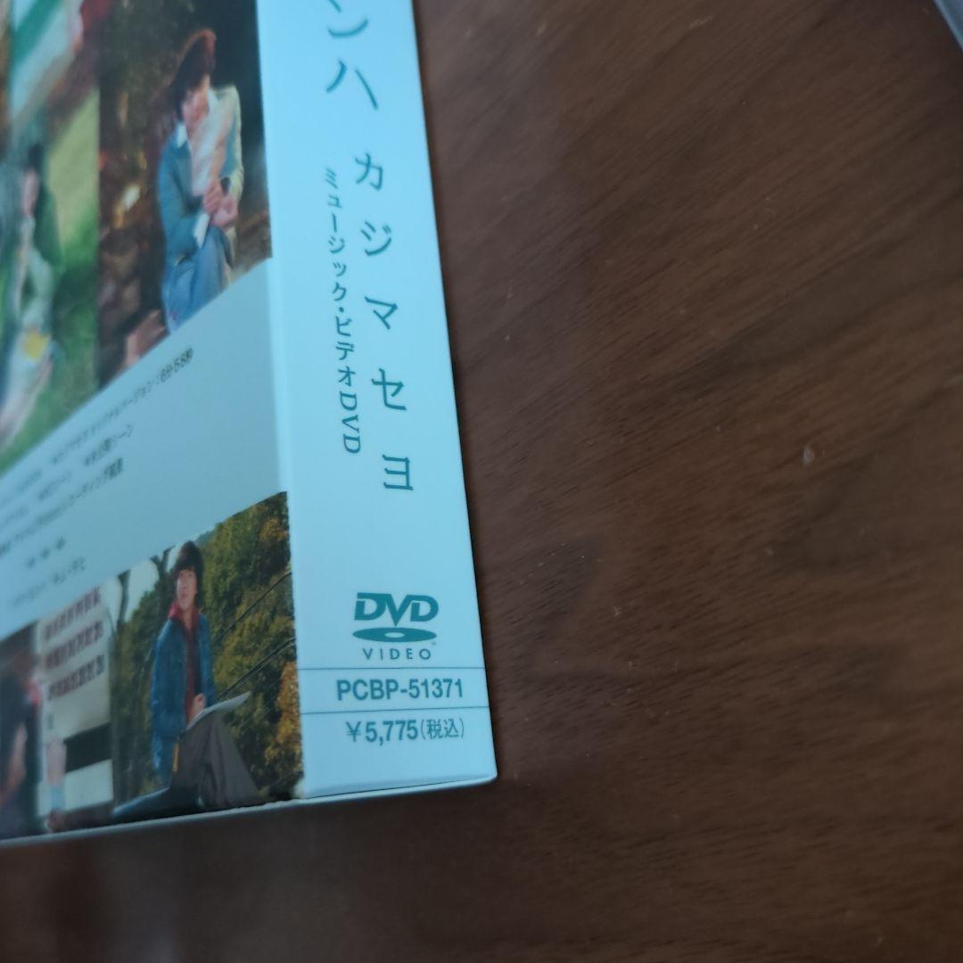 パク・ヨンハ カジマセヨ 君が最高 まとめ売り