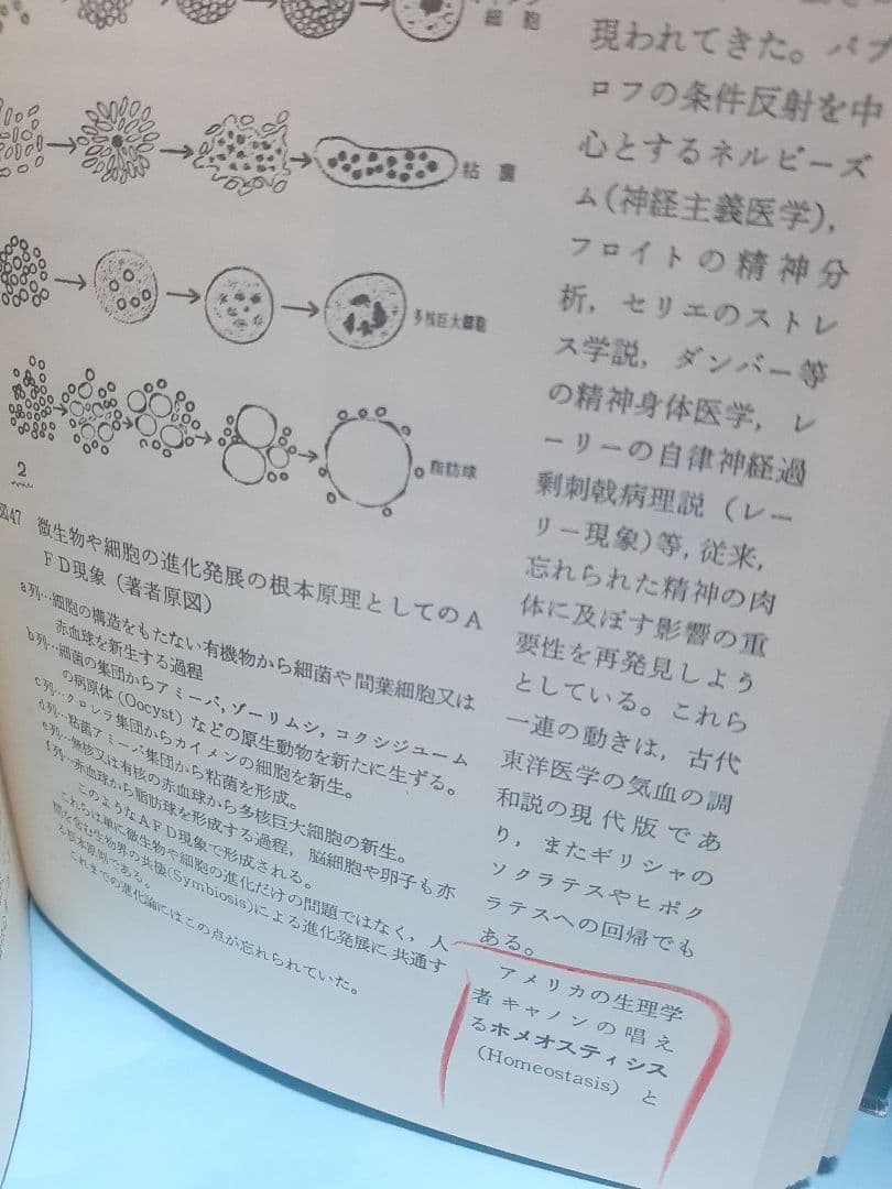 【値下げ】千島革新の生命・医学全集 第6巻 文明と生命他 千島喜久雄著