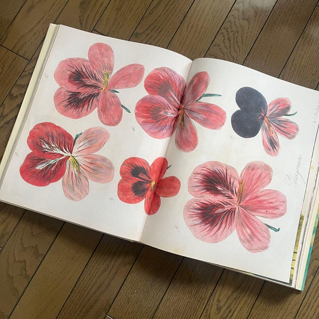 John Derian Picture Book ジョンデリアン アートブック