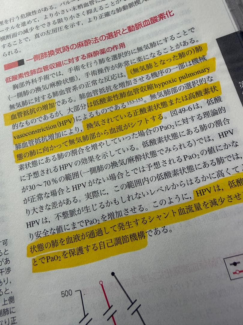 Miller's Anesthesia 第6版