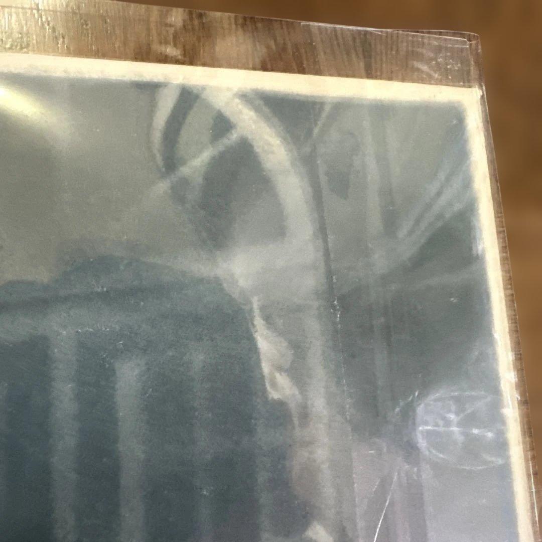 坂本慎太郎 Yoo-hoo 未開封アナログレコード