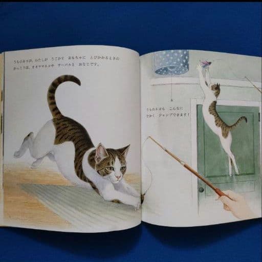 かがくのとも　こどものとも　ネコのひみつ　にしまち3ばんちのねこたち　福音館