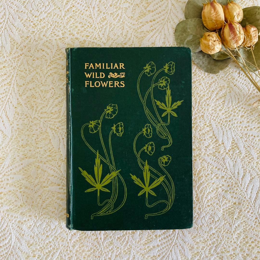 洋書古書　希少　Familiar Wild Flowers　アンティーク植物図鑑