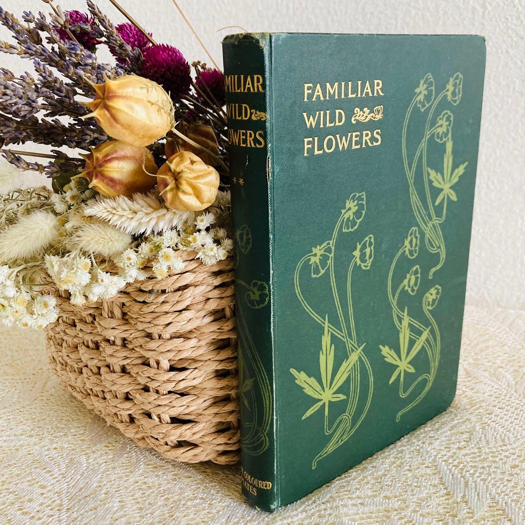 洋書古書　希少　Familiar Wild Flowers　アンティーク植物図鑑