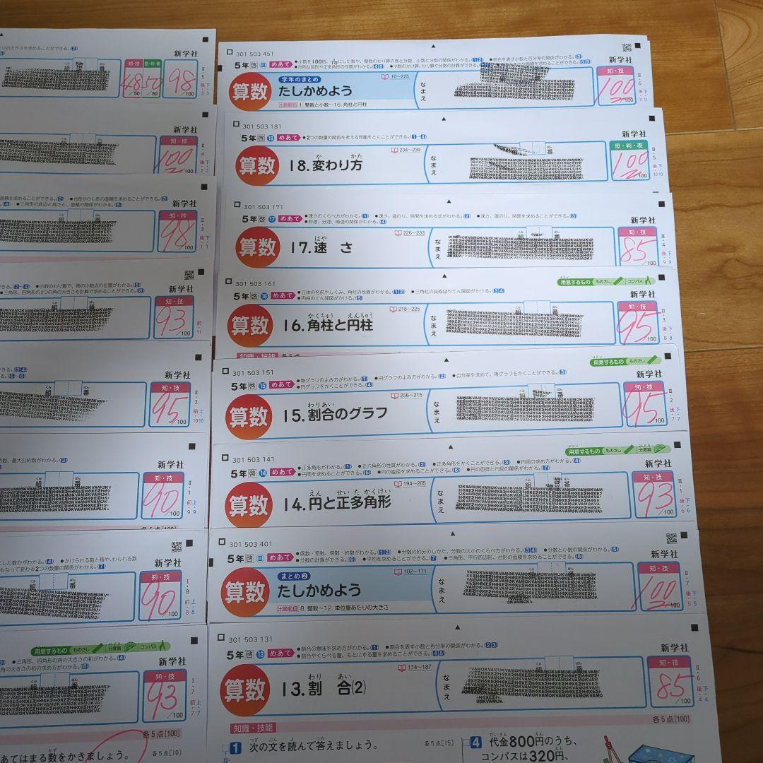 【新学社】小学5年 算数 カラーテスト 答え 令和7年度 23枚分 啓林館 最新