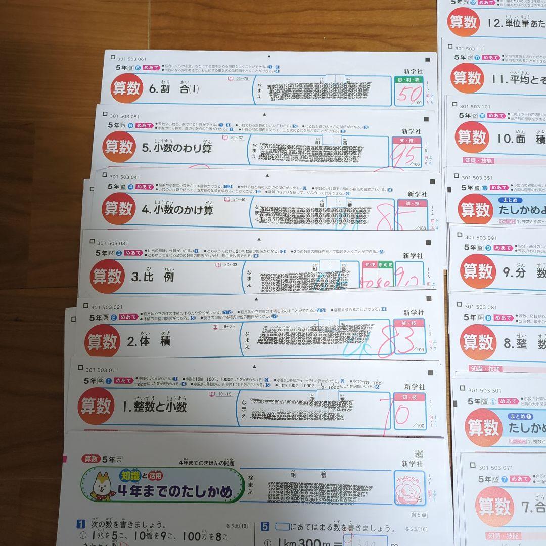 【新学社】小学5年 算数 カラーテスト 答え 令和7年度 23枚分 啓林館 最新