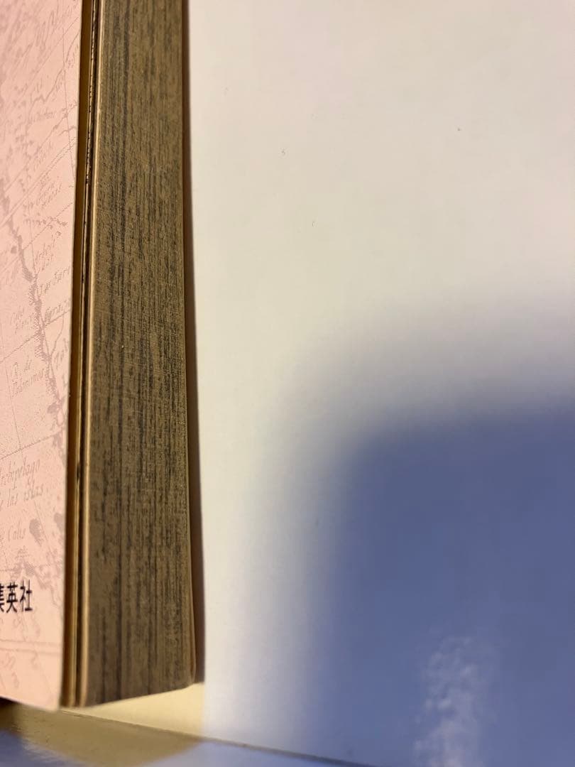 初版ONE PIECE一巻1997年発行　 初版　ウォンテッド小冊子付きセット