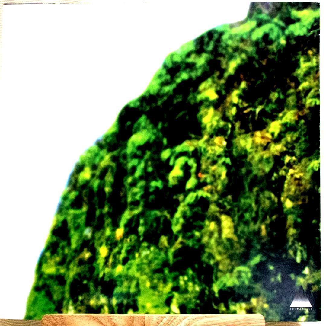 Clams Casino ‎– Rainforest