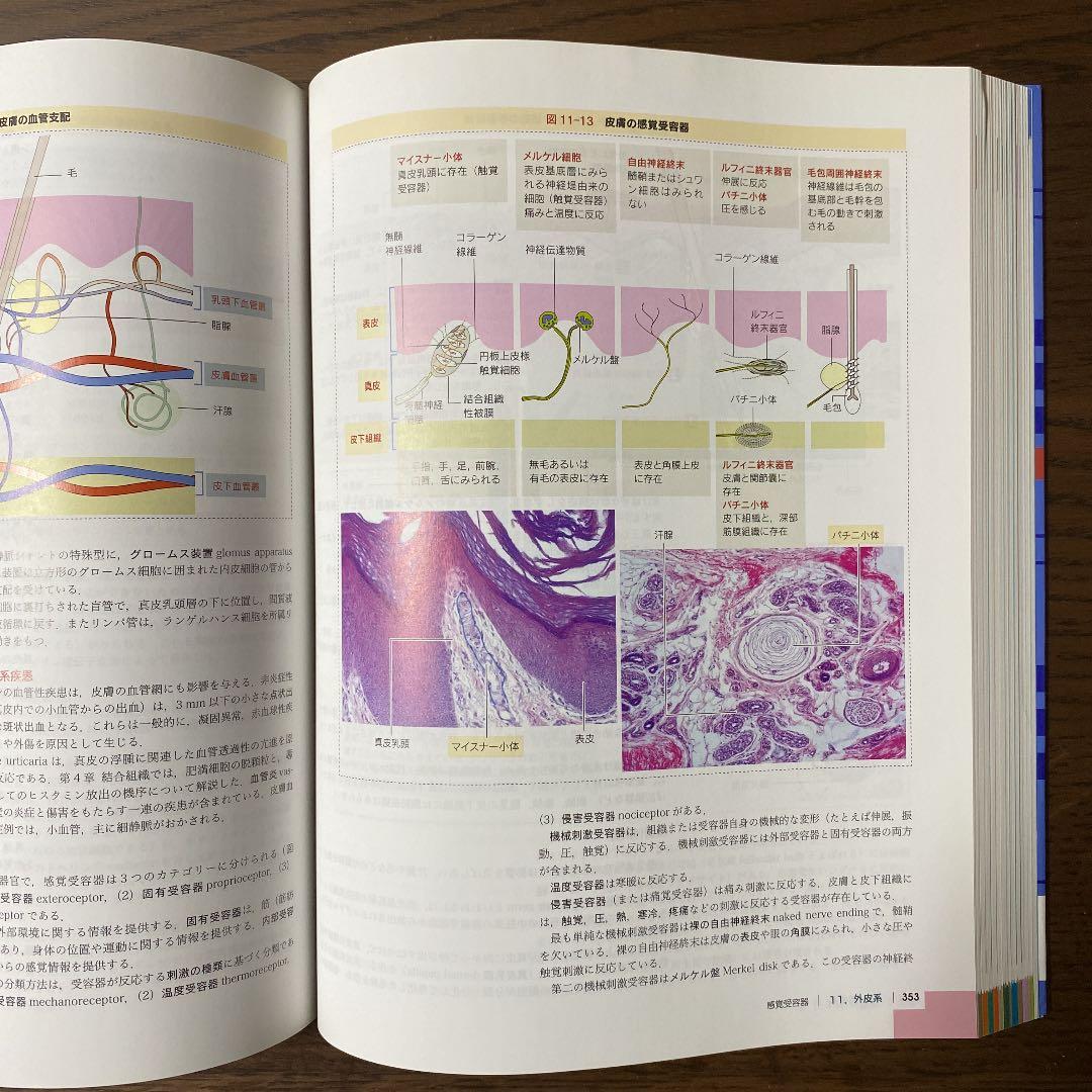 組織細胞生物学